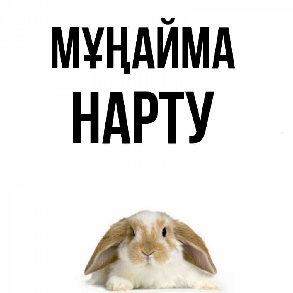 Күн сайын ашық хат с именем, НАРТУ Мұңайма коричнево белый заяц с большими ушками Онлайн тегін жүктеп алу тілектері бар керемет карта 