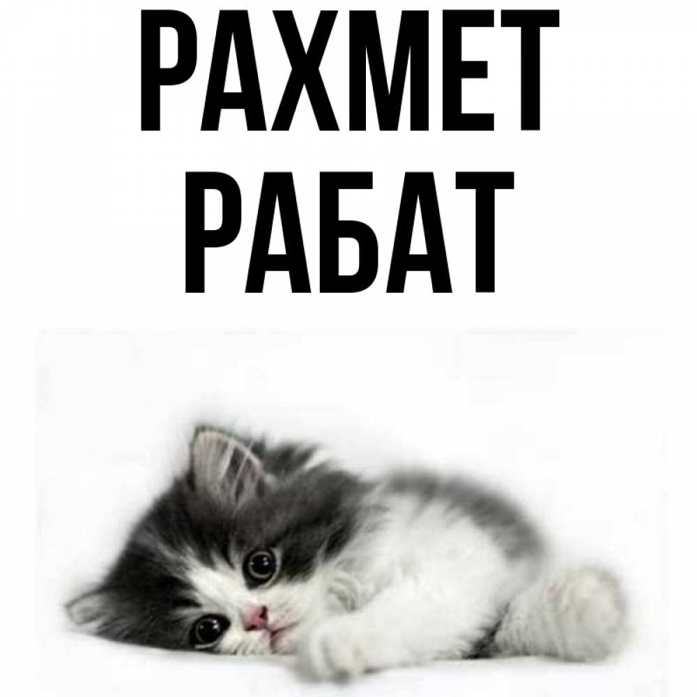 Күн сайын ашық хат с именем, РАБАТ рахмет черный и белый кот Онлайн тегін жүктеп алу тілектері бар керемет карта 