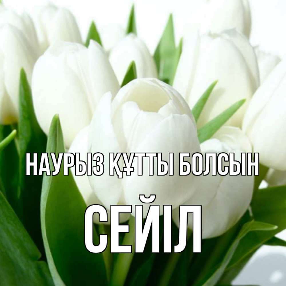 Күн сайын ашық хат с именем, СЕЙІЛ Наурыз құтты болсын цветы Онлайн тегін жүктеп алу тілектері бар керемет карта 