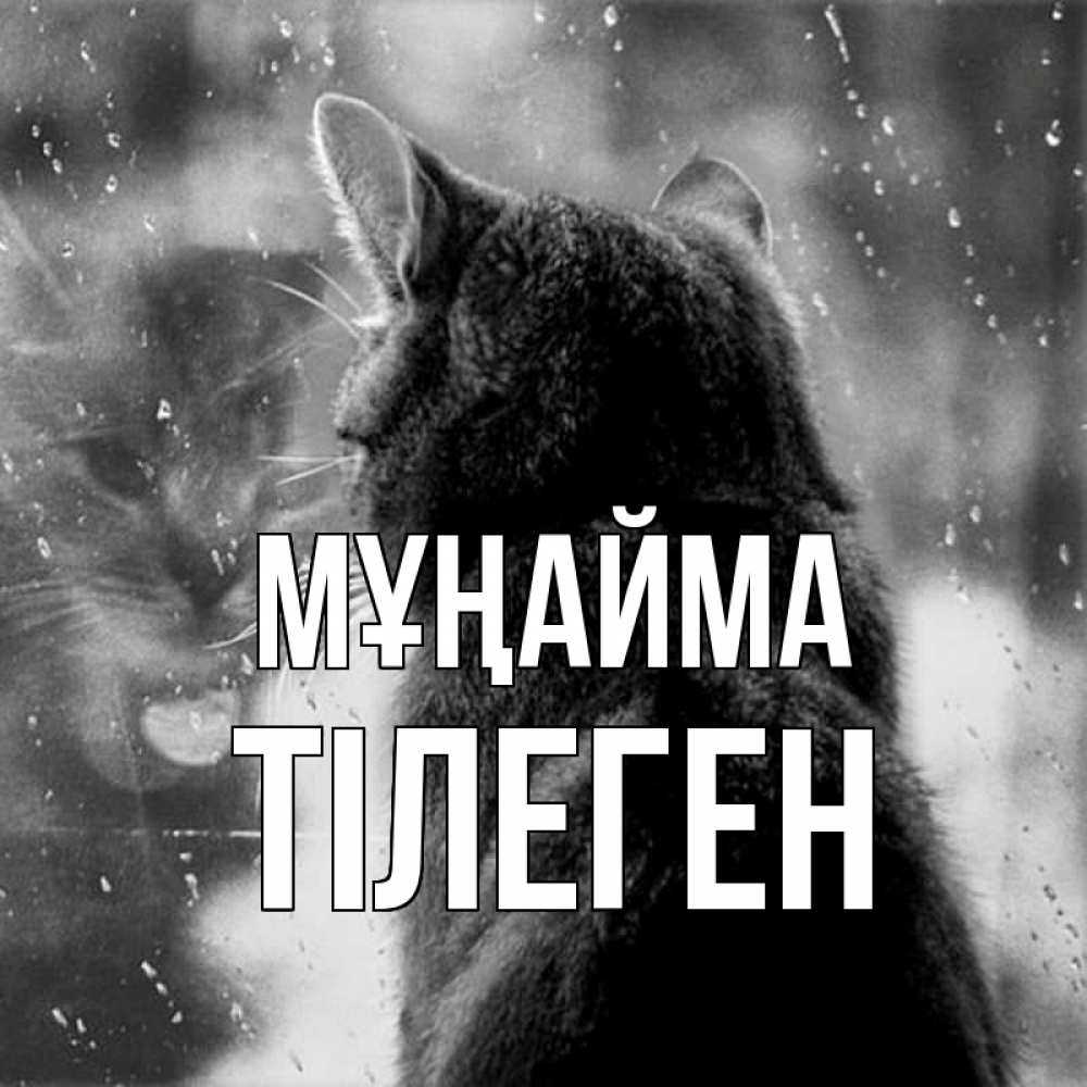 Күн сайын ашық хат с именем, ТІЛЕГЕН Мұңайма отражение кота 1 Онлайн тегін жүктеп алу тілектері бар керемет карта 