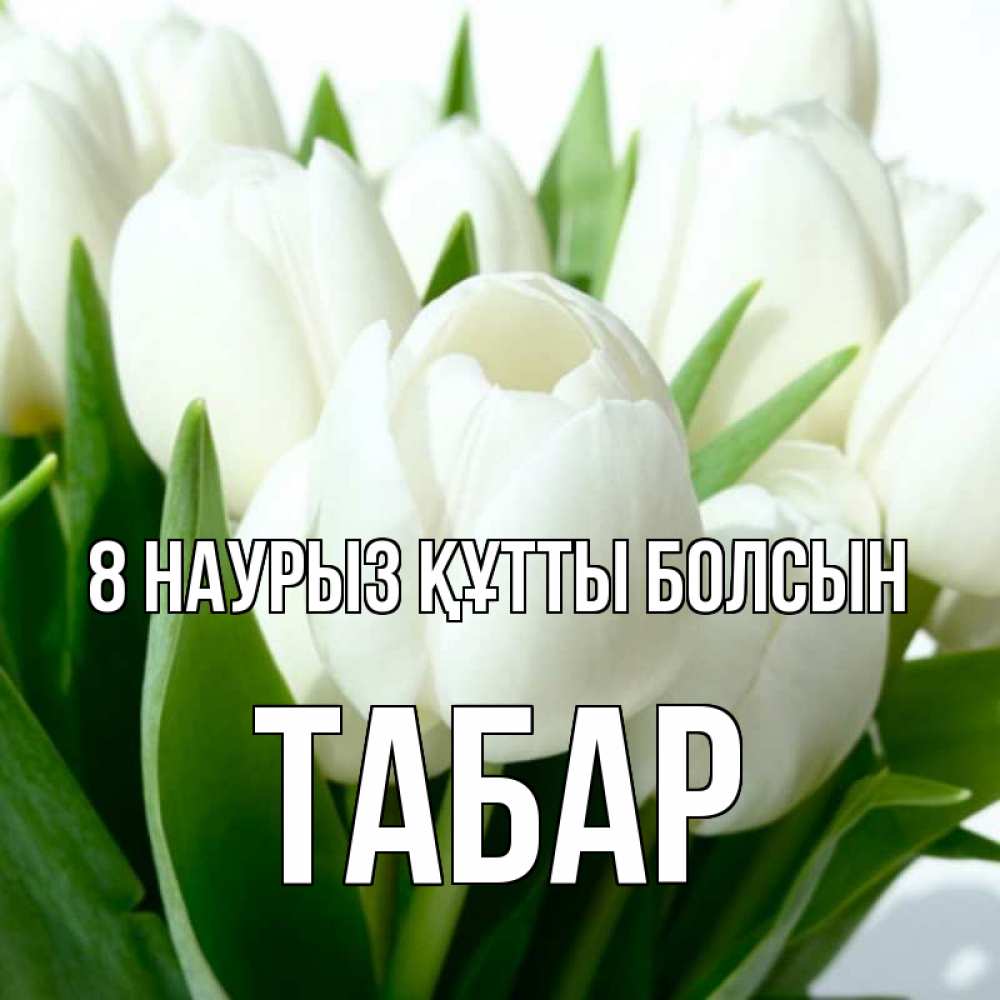 Күн сайын ашық хат с именем, ТАБАР 8 наурыз құтты болсын цветы Онлайн тегін жүктеп алу тілектері бар керемет карта 