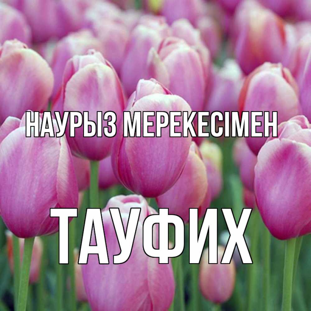 Күн сайын ашық хат с именем, ТАУФИХ Наурыз мерекесімен праздник весны наурыз 69 Онлайн тегін жүктеп алу тілектері бар керемет карта 