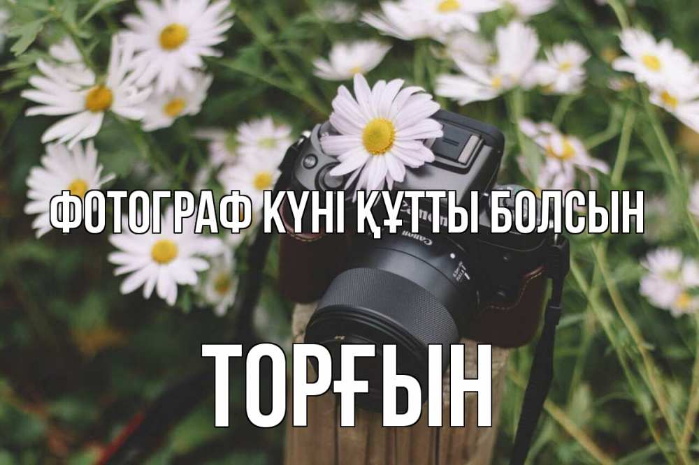 Күн сайын ашық хат с именем, ТОРҒЫН Фотограф күні құтты болсын с днем фотографа Онлайн тегін жүктеп алу тілектері бар керемет карта 