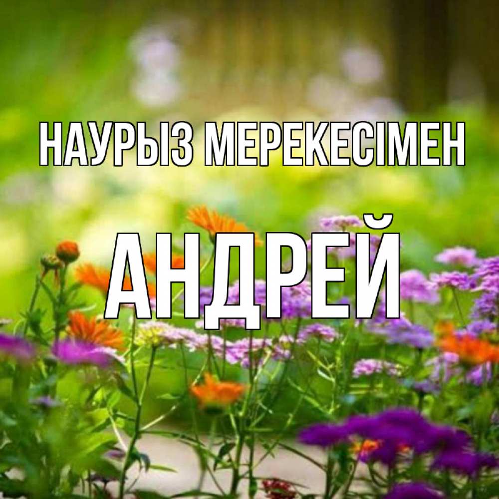 Күн сайын ашық хат с именем, Андрей Наурыз мерекесімен цветы Онлайн тегін жүктеп алу тілектері бар керемет карта 