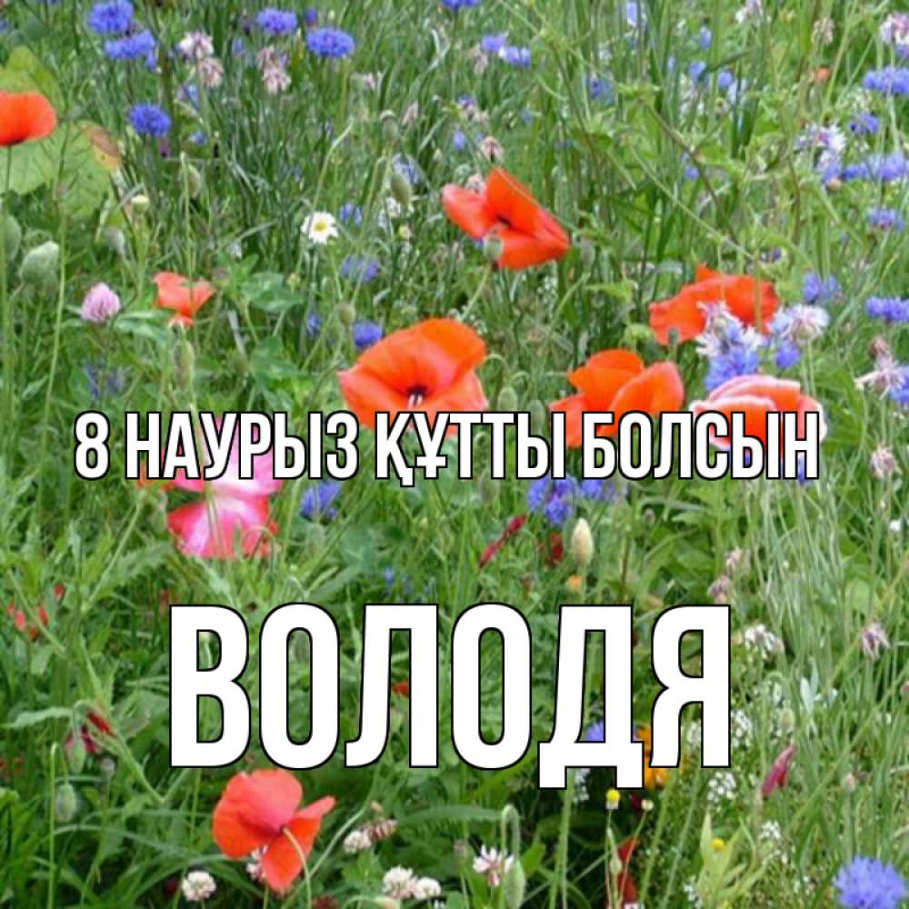 Күн сайын ашық хат с именем, Володя 8 наурыз құтты болсын международный женский день 4 Онлайн тегін жүктеп алу тілектері бар керемет карта 