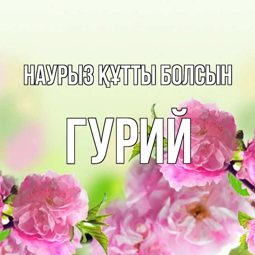 Күн сайын ашық хат с именем, Гурий Наурыз құтты болсын цветы Онлайн тегін жүктеп алу тілектері бар керемет карта 