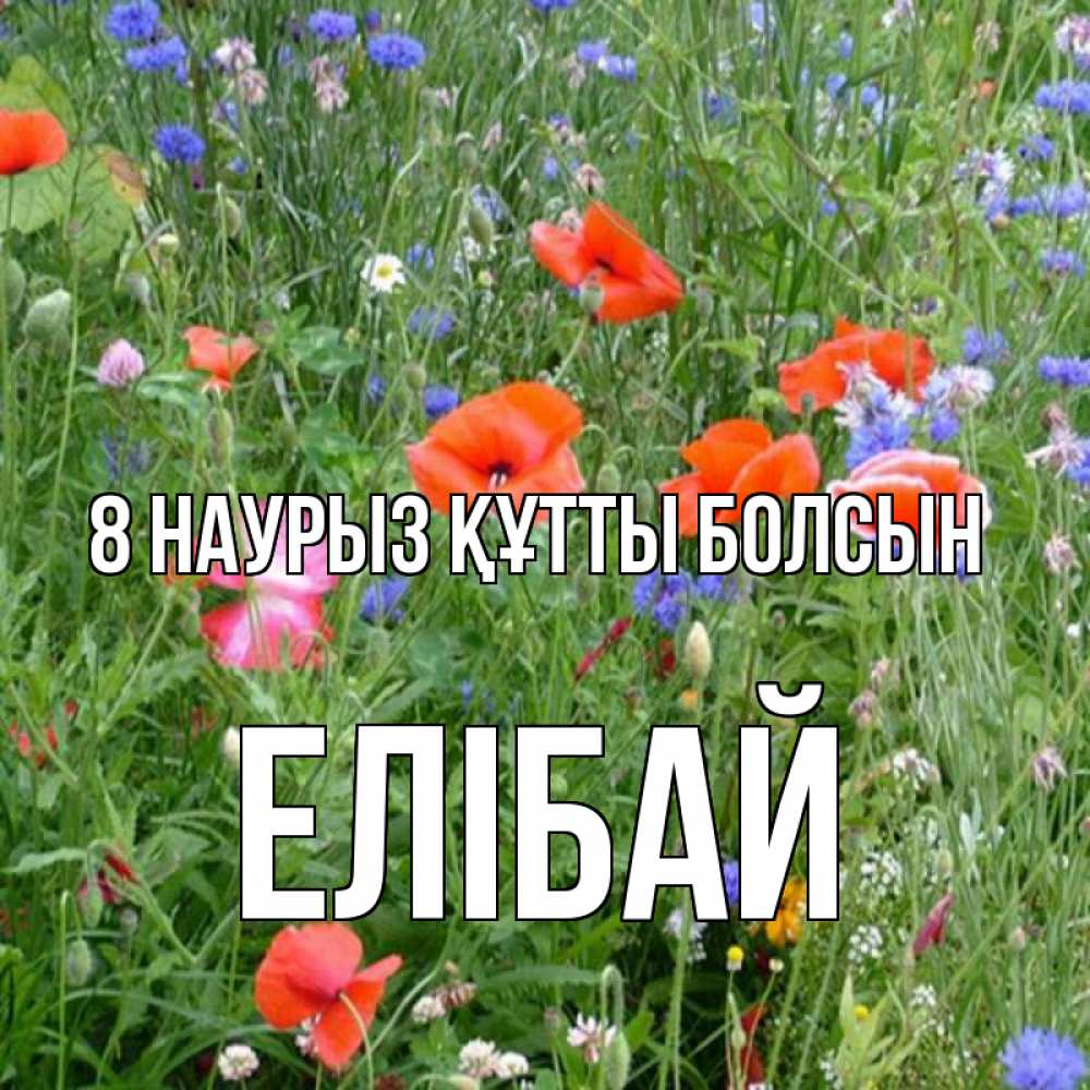 Күн сайын ашық хат с именем, Елібай 8 наурыз құтты болсын международный женский день 4 Онлайн тегін жүктеп алу тілектері бар керемет карта 