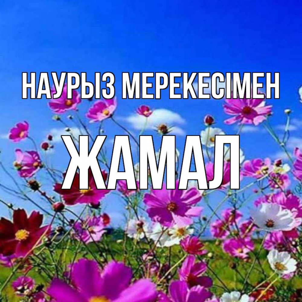 Күн сайын ашық хат с именем, ЖАМАЛ Наурыз мерекесімен цветы Онлайн тегін жүктеп алу тілектері бар керемет карта 