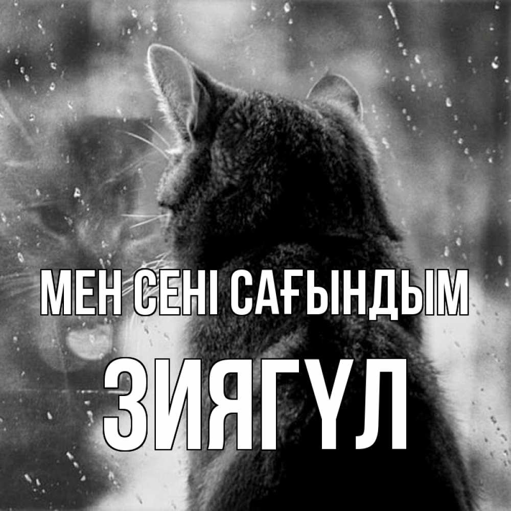 Күн сайын ашық хат с именем, ЗИЯГҮЛ Мен сені сағындым скорее ко мне приходи 1 Онлайн тегін жүктеп алу тілектері бар керемет карта 
