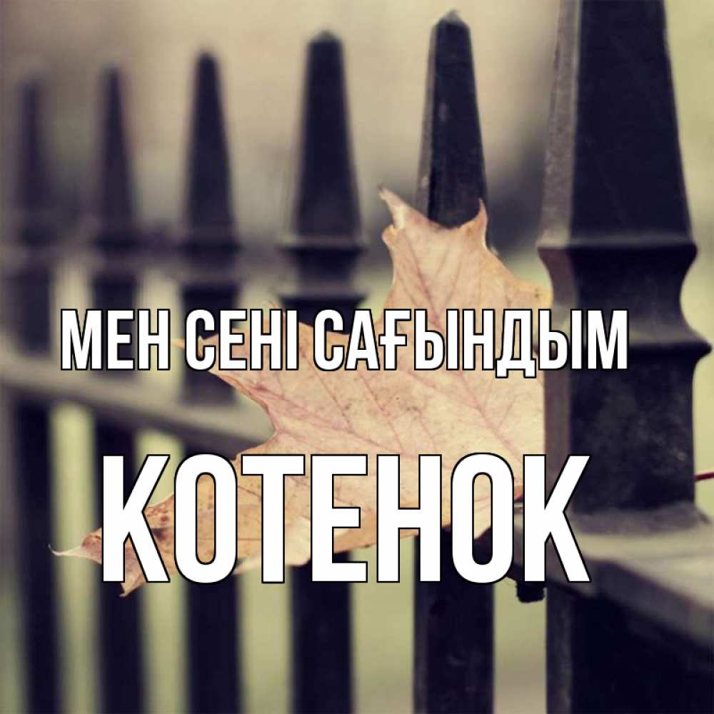 Күн сайын ашық хат с именем, Котенок Мен сені сағындым очень скучно Онлайн тегін жүктеп алу тілектері бар керемет карта 