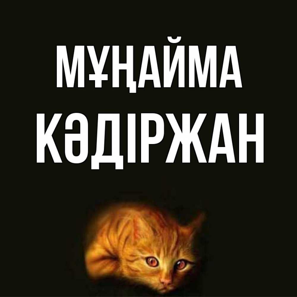 Күн сайын ашық хат с именем, Кәдіржан Мұңайма лежащий кот в темноте Онлайн тегін жүктеп алу тілектері бар керемет карта 