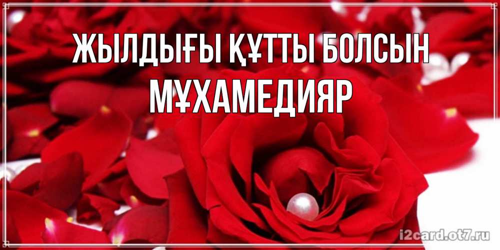 Күн сайын ашық хат с именем, МҰХАМЕДИЯР Жылдығы құтты болсын роза с жемчужиной на открытке для любимых Онлайн тегін жүктеп алу тілектері бар керемет карта 