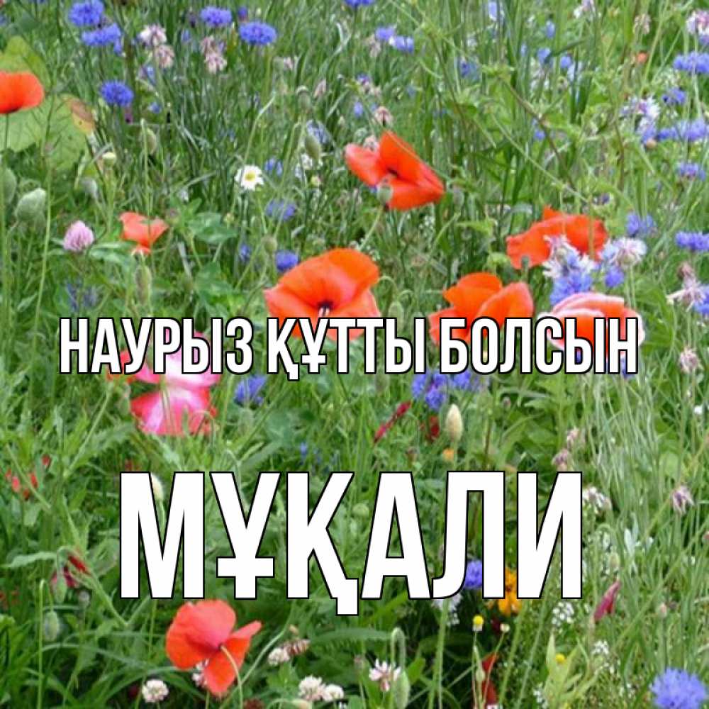Күн сайын ашық хат с именем, МҰҚАЛИ Наурыз құтты болсын наурыз  4 Онлайн тегін жүктеп алу тілектері бар керемет карта 