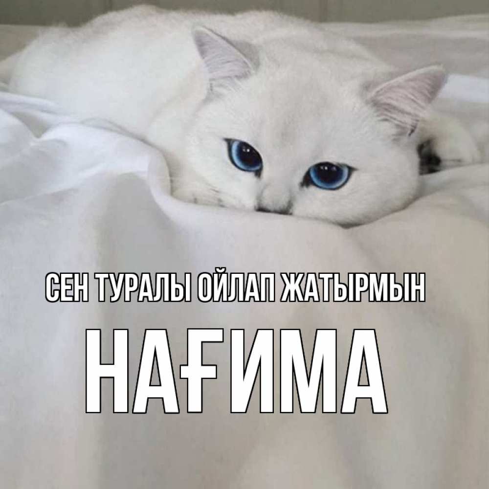 Күн сайын ашық хат с именем, НАҒИМА Сен туралы ойлап жатырмын я очень по тебе скучаю и тоскую Онлайн тегін жүктеп алу тілектері бар керемет карта 