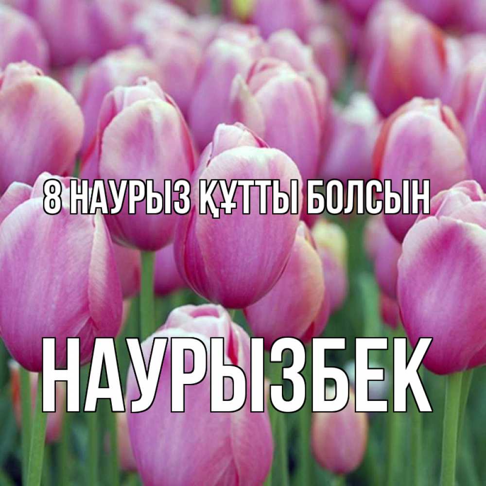 Күн сайын ашық хат с именем, Наурызбек 8 наурыз құтты болсын на международный женский день 3 Онлайн тегін жүктеп алу тілектері бар керемет карта 