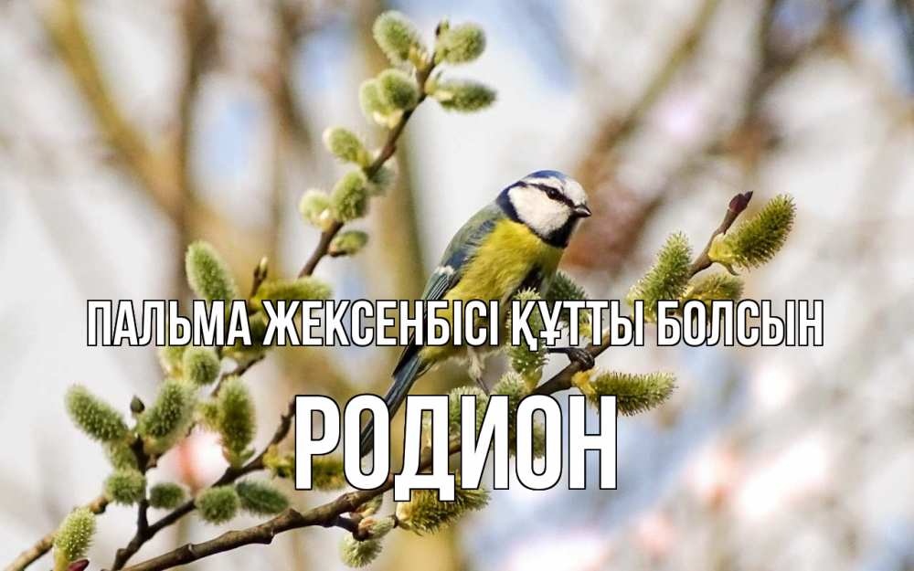 Күн сайын ашық хат с именем, Родион Пальма жексенбісі құтты болсын верба Онлайн тегін жүктеп алу тілектері бар керемет карта 