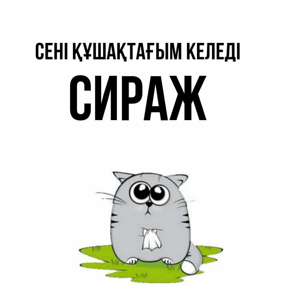 Күн сайын ашық хат с именем, СИРАЖ сені құшақтағым келеді котик теребит платочек сидя на травке Онлайн тегін жүктеп алу тілектері бар керемет карта 