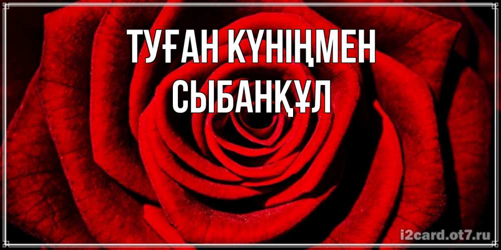 Күн сайын ашық хат с именем, СЫБАНҚҰЛ Туған күніңмен алая роза Онлайн тегін жүктеп алу тілектері бар керемет карта 