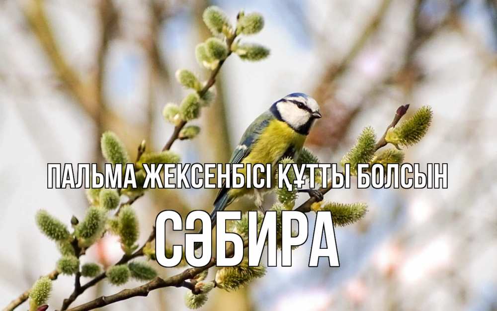 Күн сайын ашық хат с именем, СӘБИРА Пальма жексенбісі құтты болсын верба Онлайн тегін жүктеп алу тілектері бар керемет карта 