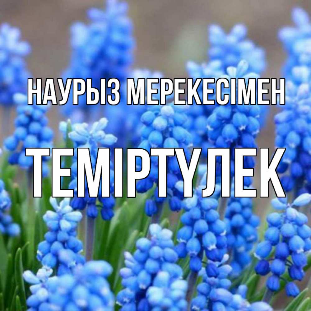Күн сайын ашық хат с именем, ТЕМІРТҮЛЕК Наурыз мерекесімен Поздравительная открытка для женщин с цветами на праздничную дату Онлайн тегін жүктеп алу тілектері бар керемет карта 