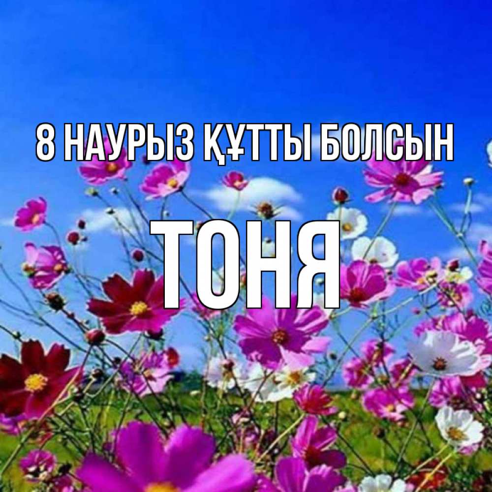 Күн сайын ашық хат с именем, Тоня 8 наурыз құтты болсын цветы Онлайн тегін жүктеп алу тілектері бар керемет карта 