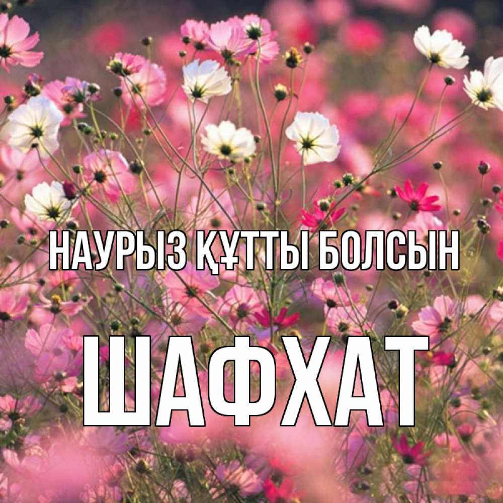Күн сайын ашық хат с именем, ШАФХАТ Наурыз құтты болсын красиво 1 Онлайн тегін жүктеп алу тілектері бар керемет карта 