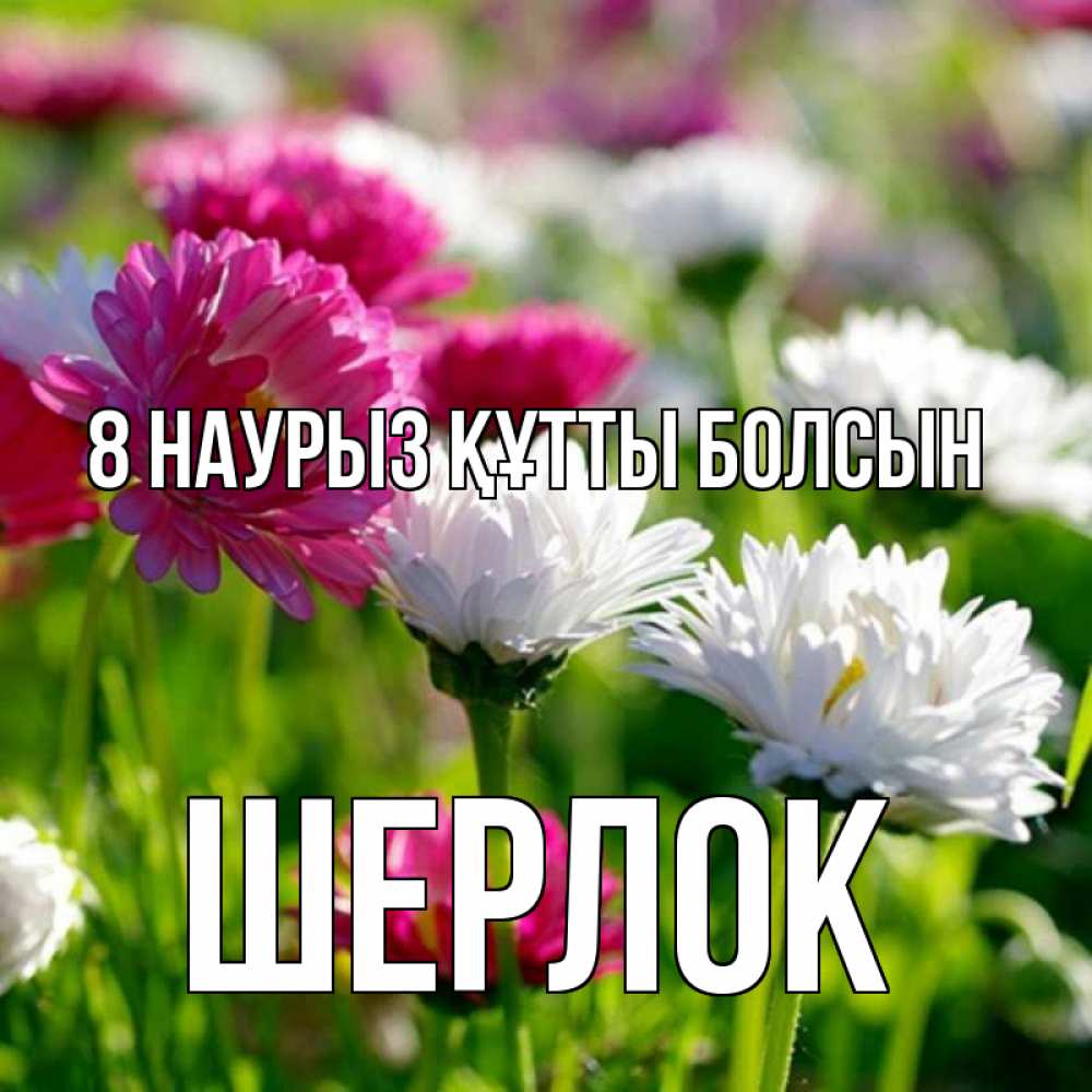 Күн сайын ашық хат с именем, Шерлок 8 наурыз құтты болсын международный женский день 1 Онлайн тегін жүктеп алу тілектері бар керемет карта 