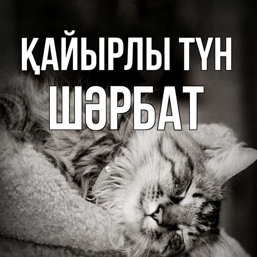 Күн сайын ашық хат с именем, ШӘРБАТ Қайырлы түн котярик пушистый Онлайн тегін жүктеп алу тілектері бар керемет карта 