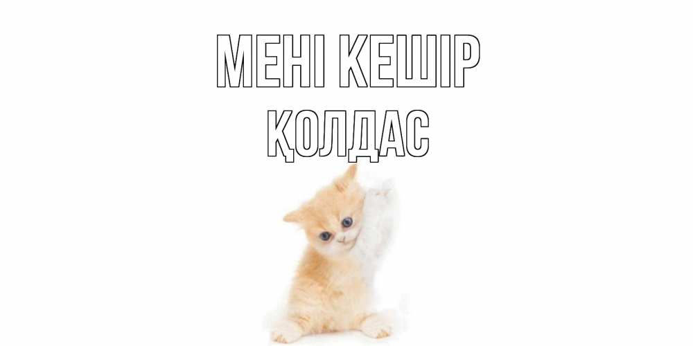 Күн сайын ашық хат с именем, Қолдас Мені кешір кот Онлайн тегін жүктеп алу тілектері бар керемет карта 