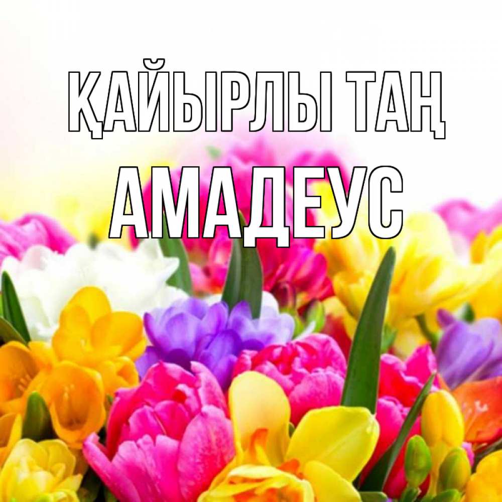 Күн сайын ашық хат с именем, Амадеус Қайырлы таң создать открытку со свое подписью Онлайн тегін жүктеп алу тілектері бар керемет карта 