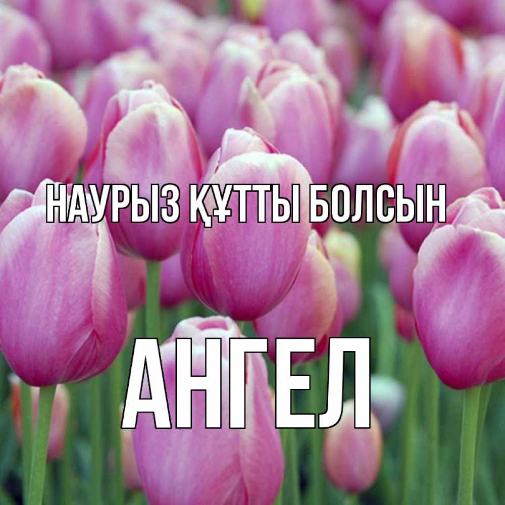 Күн сайын ашық хат с именем, Ангел Наурыз құтты болсын на наурыз  день 3 Онлайн тегін жүктеп алу тілектері бар керемет карта 