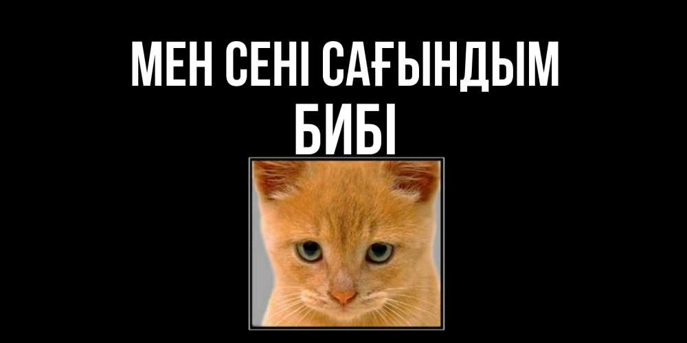Күн сайын ашық хат с именем, БИБІ Мен сені сағындым открытки рыжий котенок скучает по тебе Онлайн тегін жүктеп алу тілектері бар керемет карта 