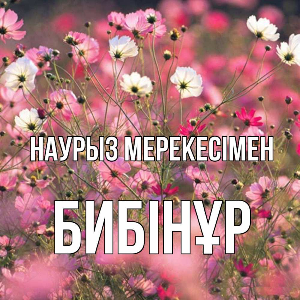 Күн сайын ашық хат с именем, БИБІНҰР Наурыз мерекесімен красиво 1 Онлайн тегін жүктеп алу тілектері бар керемет карта 