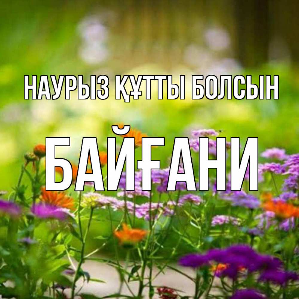 Күн сайын ашық хат с именем, Байғани Наурыз құтты болсын цветы Онлайн тегін жүктеп алу тілектері бар керемет карта 