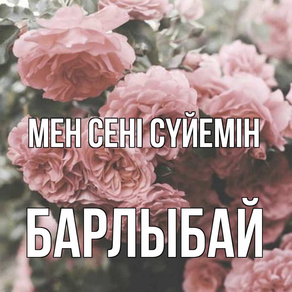 Күн сайын ашық хат с именем, Барлыбай Мен сені сүйемін розы 3 Онлайн тегін жүктеп алу тілектері бар керемет карта 