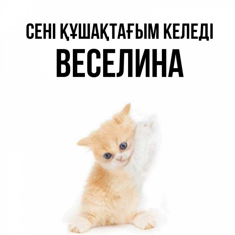 Күн сайын ашық хат с именем, Веселина сені құшақтағым келеді я хочу очень скорее обнимаешек Онлайн тегін жүктеп алу тілектері бар керемет карта 