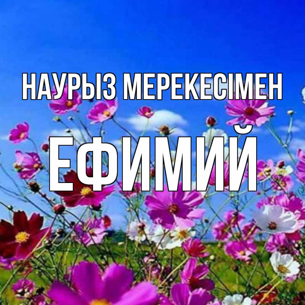 Күн сайын ашық хат с именем, Ефимий Наурыз мерекесімен цветы Онлайн тегін жүктеп алу тілектері бар керемет карта 