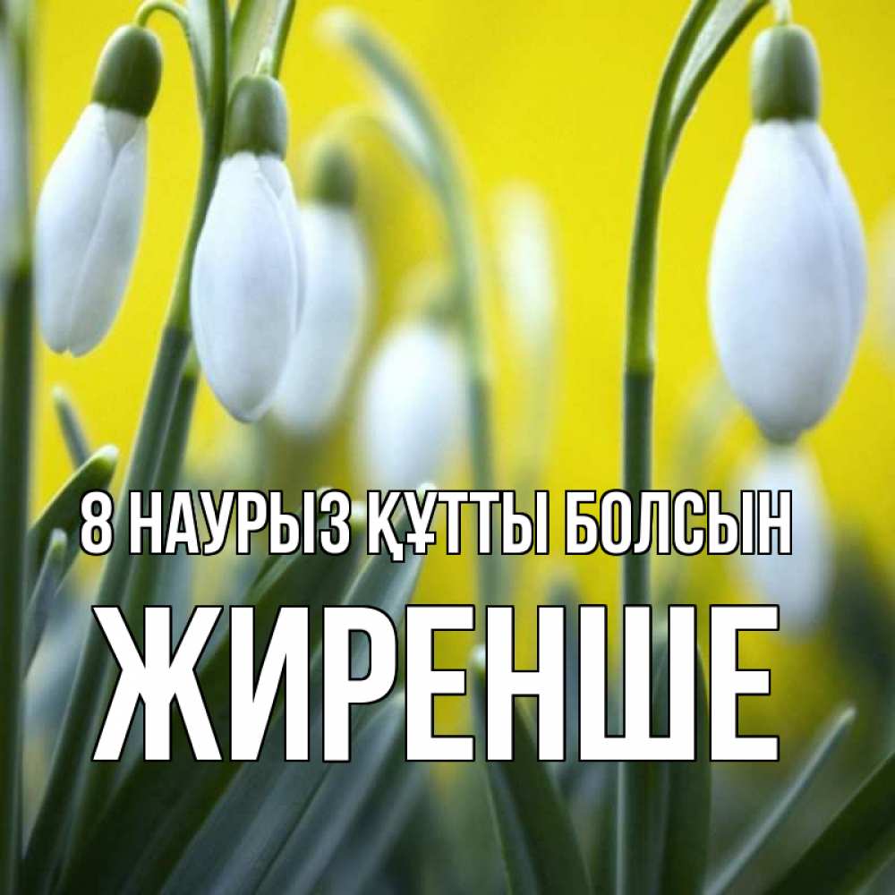 Күн сайын ашық хат с именем, Жиренше 8 наурыз құтты болсын весенние цветы Онлайн тегін жүктеп алу тілектері бар керемет карта 
