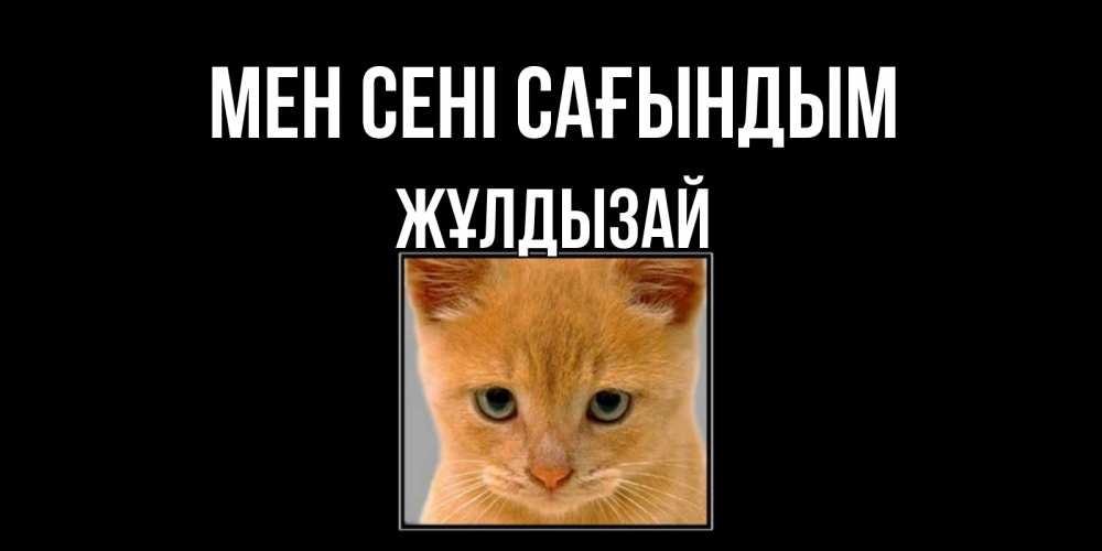 Күн сайын ашық хат с именем, ЖҰЛДЫЗАЙ Мен сені сағындым открытки рыжий котенок скучает по тебе Онлайн тегін жүктеп алу тілектері бар керемет карта 