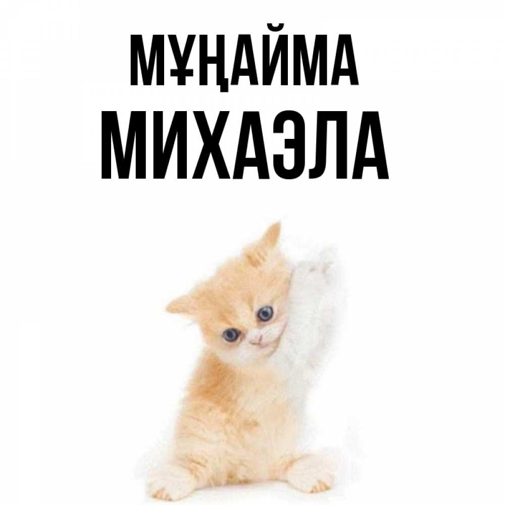 Күн сайын ашық хат с именем, Михаэла Мұңайма просящий кот Онлайн тегін жүктеп алу тілектері бар керемет карта 