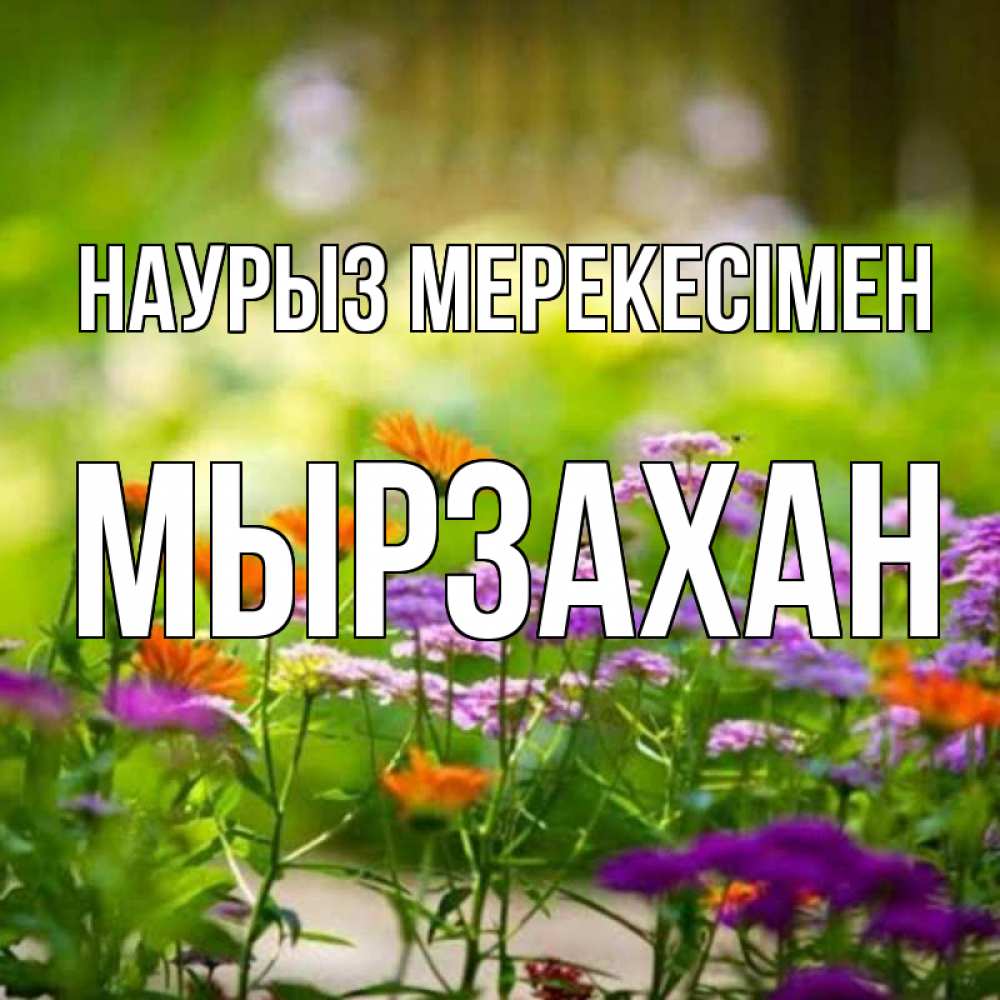 Күн сайын ашық хат с именем, Мырзахан Наурыз мерекесімен цветы Онлайн тегін жүктеп алу тілектері бар керемет карта 