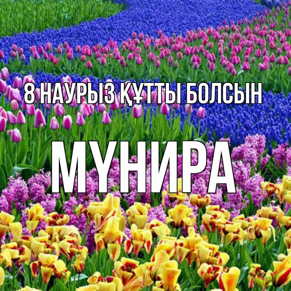 Күн сайын ашық хат с именем, МҮНИРА 8 наурыз құтты болсын цветы Онлайн тегін жүктеп алу тілектері бар керемет карта 
