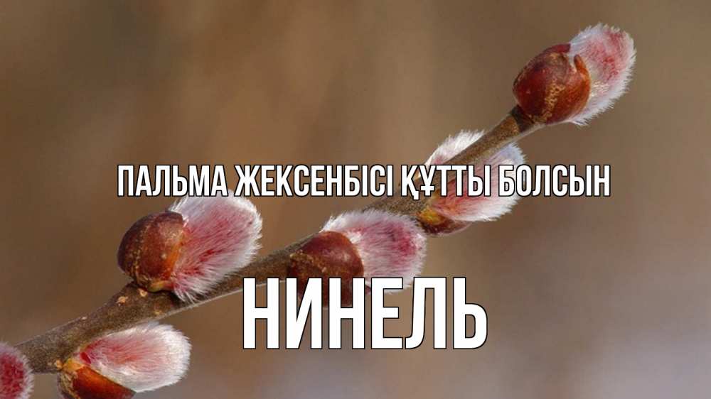 Күн сайын ашық хат с именем, Нинель Пальма жексенбісі құтты болсын верба Онлайн тегін жүктеп алу тілектері бар керемет карта 
