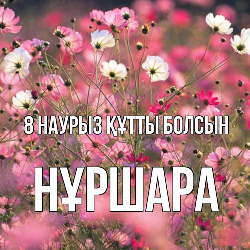 Күн сайын ашық хат с именем, НҰРШАРА 8 наурыз құтты болсын красиво 1 Онлайн тегін жүктеп алу тілектері бар керемет карта 