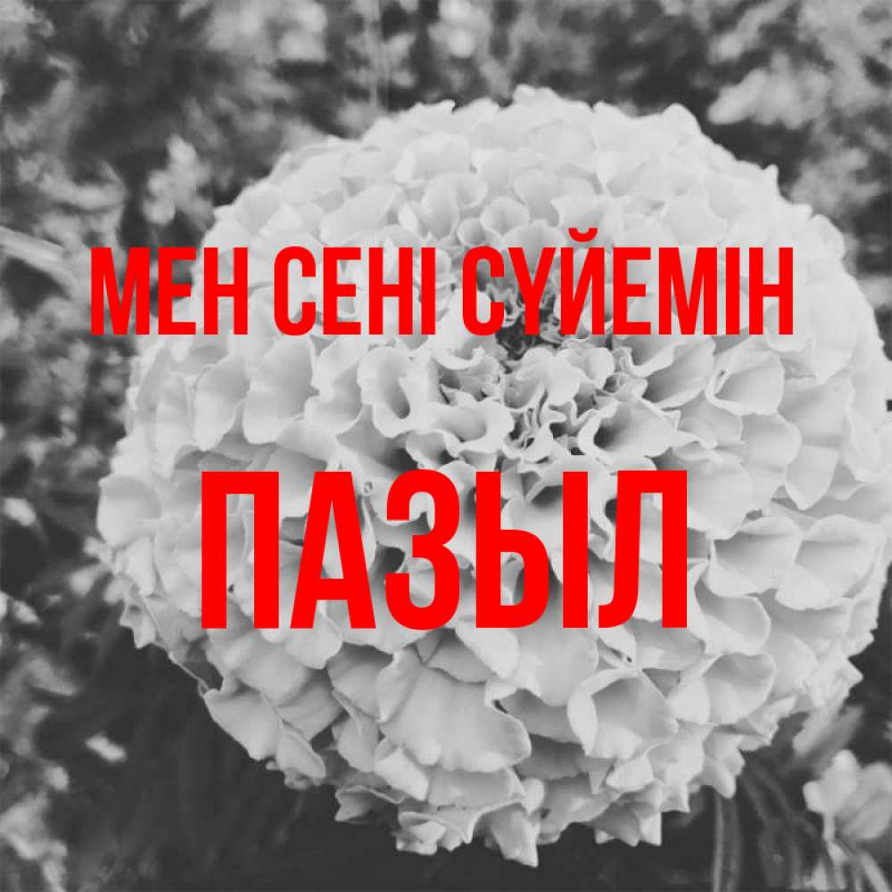 Күн сайын ашық хат с именем, ПАЗЫЛ Мен сені сүйемін подпись Онлайн тегін жүктеп алу тілектері бар керемет карта 