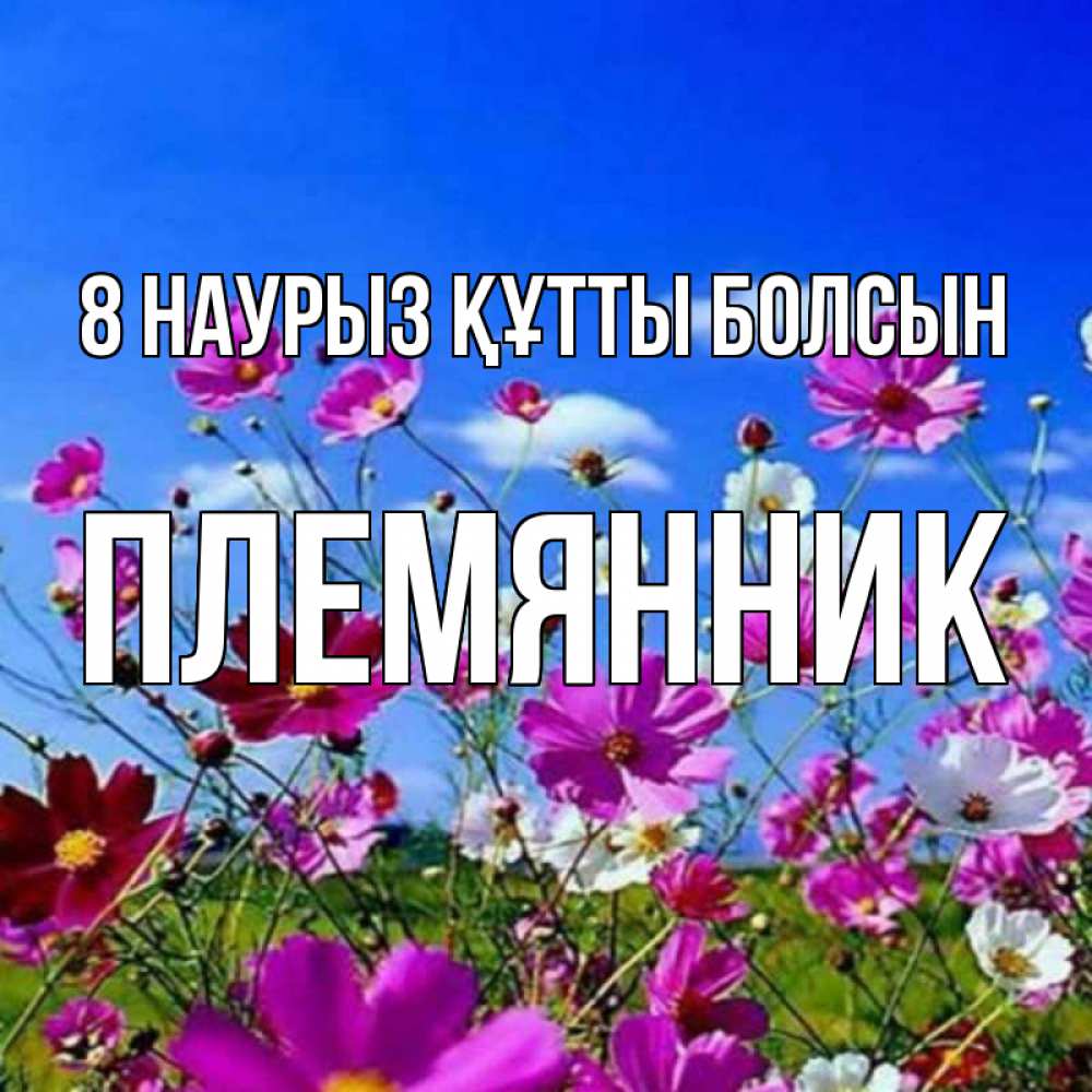 Күн сайын ашық хат с именем, Племянник 8 наурыз құтты болсын цветы Онлайн тегін жүктеп алу тілектері бар керемет карта 