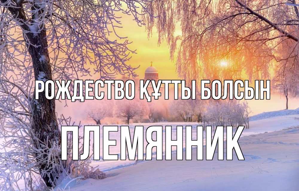 Күн сайын ашық хат с именем, Племянник Рождество құтты болсын рождество, лес, зима 1 Онлайн тегін жүктеп алу тілектері бар керемет карта 