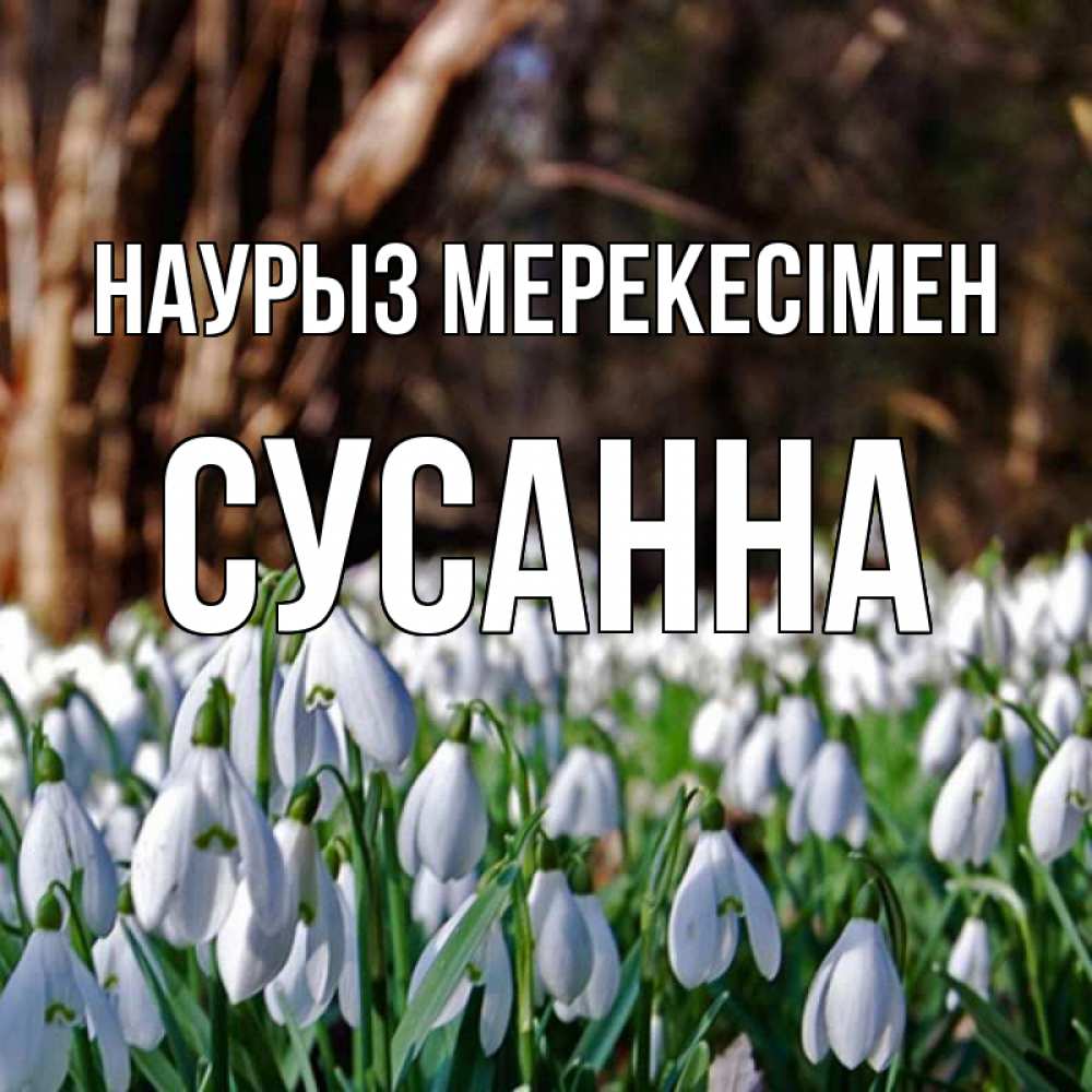 Күн сайын ашық хат с именем, Сусанна Наурыз мерекесімен с подснежниками 1 Онлайн тегін жүктеп алу тілектері бар керемет карта 