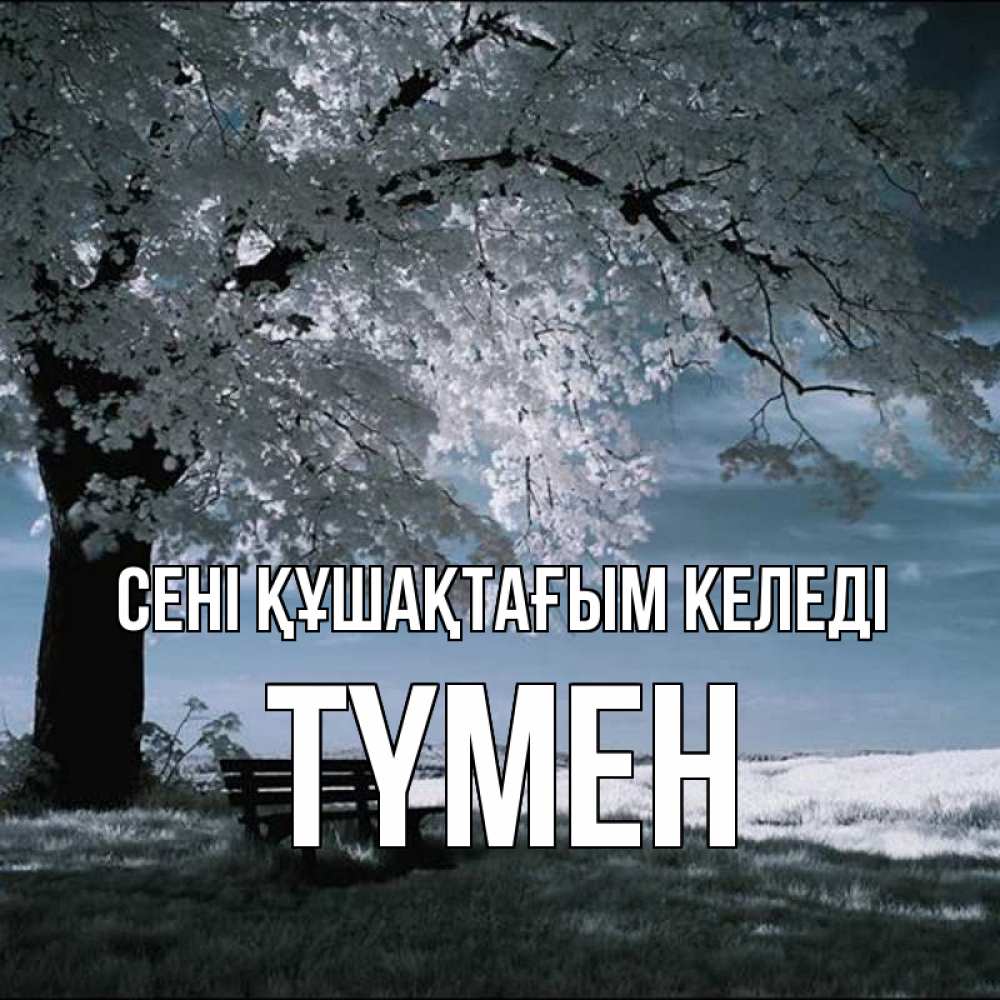 Күн сайын ашық хат с именем, ТҮМЕН сені құшақтағым келеді дерево Онлайн тегін жүктеп алу тілектері бар керемет карта 