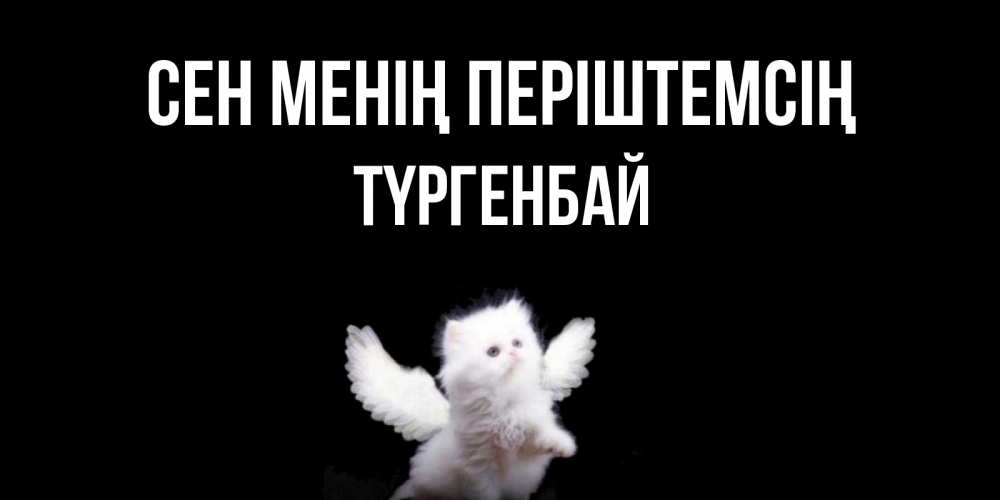 Күн сайын ашық хат с именем, ТҮРГЕНБАЙ Сен менің періштемсің Кот ангел Онлайн тегін жүктеп алу тілектері бар керемет карта 